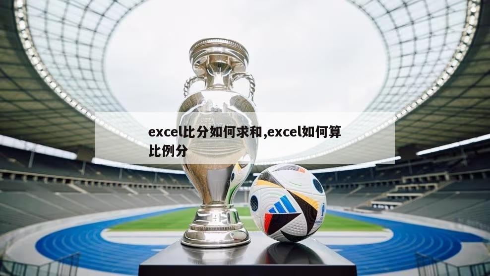 excel比分如何求和,excel如何算比例分