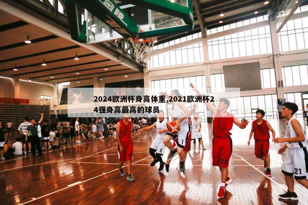 2024欧洲杯身高体重,2021欧洲杯24强身高最高的球员