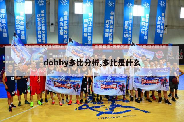 dobby多比分析,多比是什么