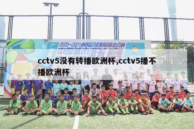 cctv5没有转播欧洲杯,cctv5播不播欧洲杯