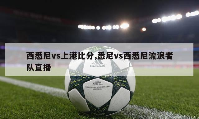 西悉尼vs上港比分,悉尼vs西悉尼流浪者队直播