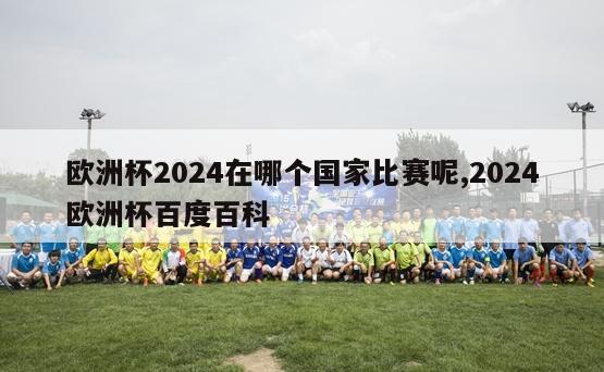 欧洲杯2024在哪个国家比赛呢,2024欧洲杯百度百科