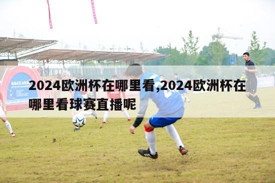 2024欧洲杯在哪里看,2024欧洲杯在哪里看球赛直播呢