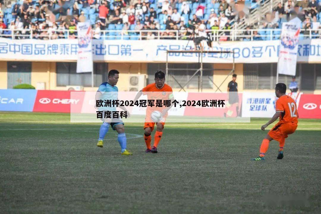 欧洲杯2024冠军是哪个,2024欧洲杯百度百科